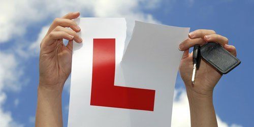 learner's license