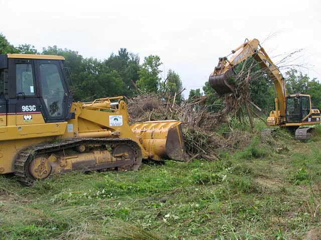 Lexington Tree Services Lexington KY Lot Clearing5