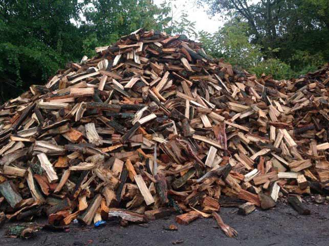 Lexington Tree Services Lexington KY Wood4