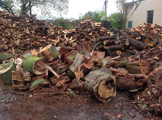 Lexington Tree Services Lexington KY Wood