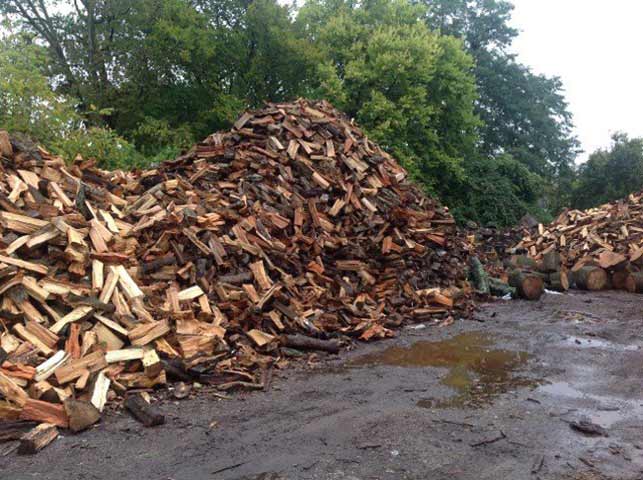 Lexington Tree Services Lexington KY Wood2
