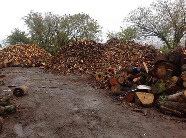 Lexington Tree Services Lexington KY Wood2