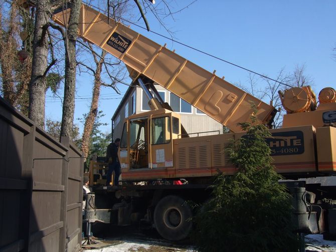 Lexington Tree Services Lexington KY Crane Close Up