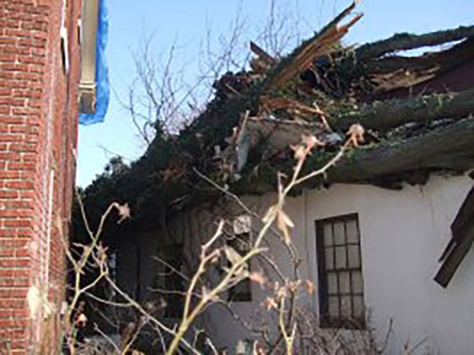 Lexington Tree Services Lexington KY Roof Damaged By Tree Close Up