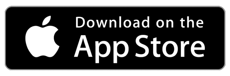 Apple store download icon.