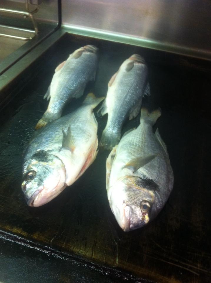 pesce alla griglia