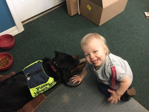 Baby and Rottweiler puppy