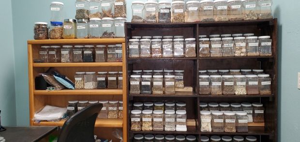 Herbal Acupuncture