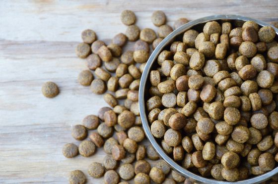 ProPlan Line Of Pet Food — Nutritious Pet Food in Van Buren, AR ProPlan Line Of Pet Food — Nutritious Pet Food in Van Buren, AR