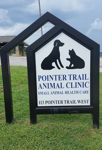 Vaccination — Pet Vaccinations in Van Buren, AR