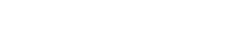 איריס ויסבורט ורדי, עורכת דין איריס ויסבורט ורדי, עורכת דין