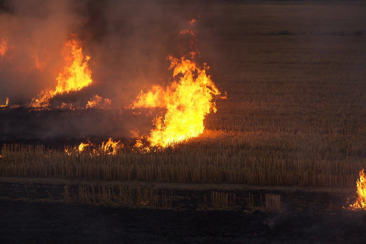 farm on fire