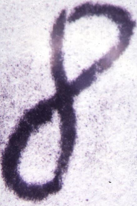 Printing Processes — Verify of copy after printing in Roseville, CA An image that a forensic laboratory near Sacramento, CA, could analyze