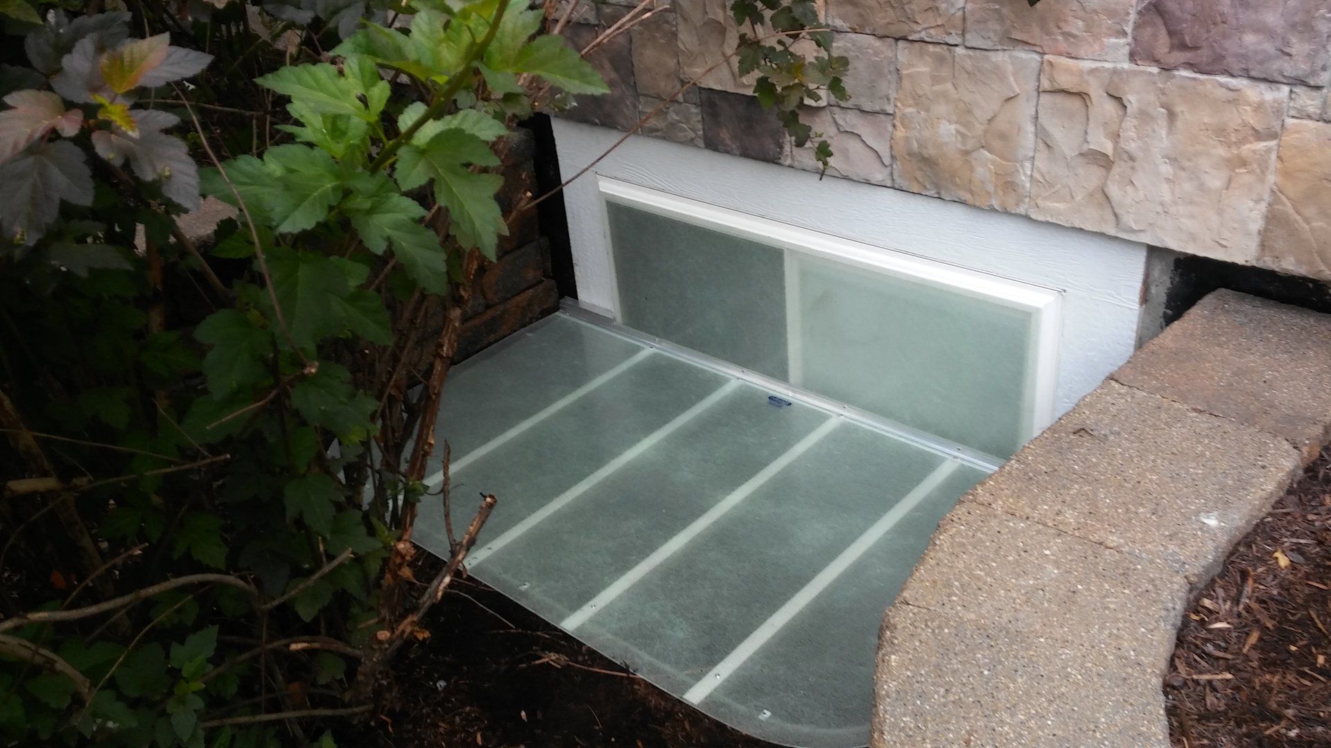 A window in the basement of a house with a glass cover.