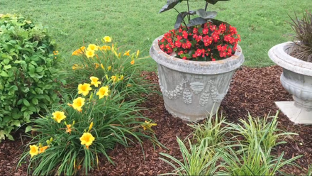 landscaping service Birmingham Al