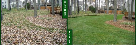 leaf removal services vestavia hills al