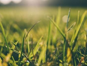 crestline mountain brook al lawn care