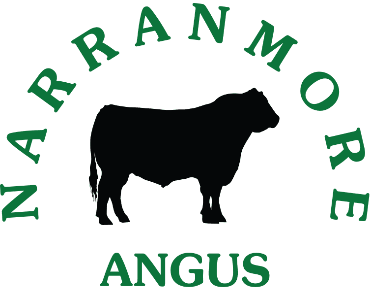 Angus