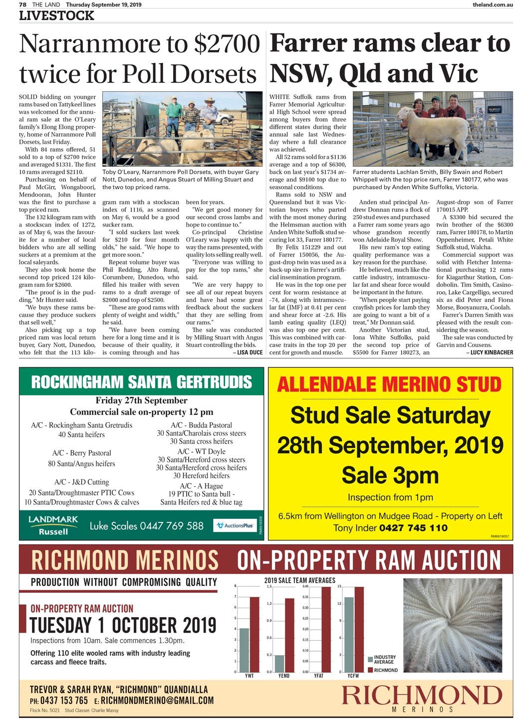 Narranmore to $2700 Twice for Poll Dorsets