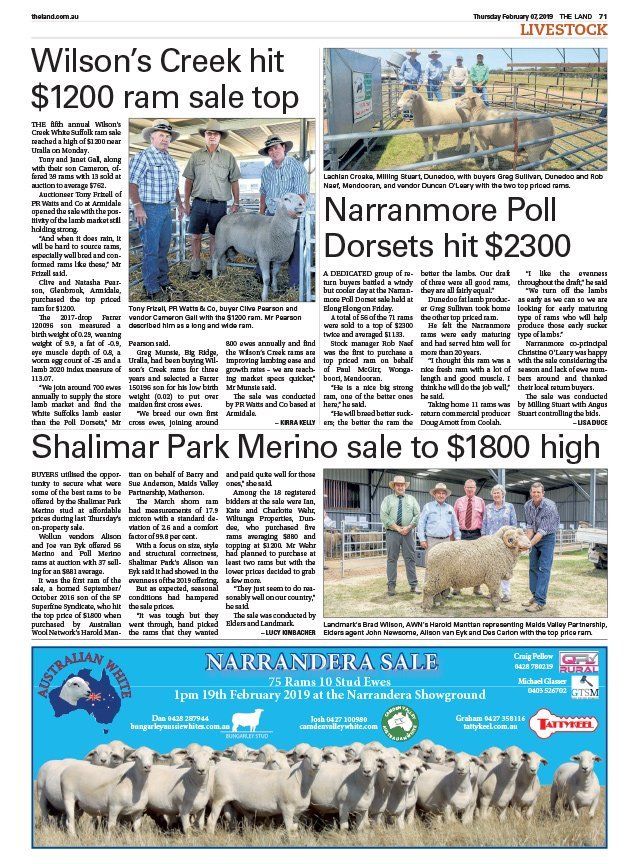 Wilson's Creek Hit $1200 Ram Sale Top