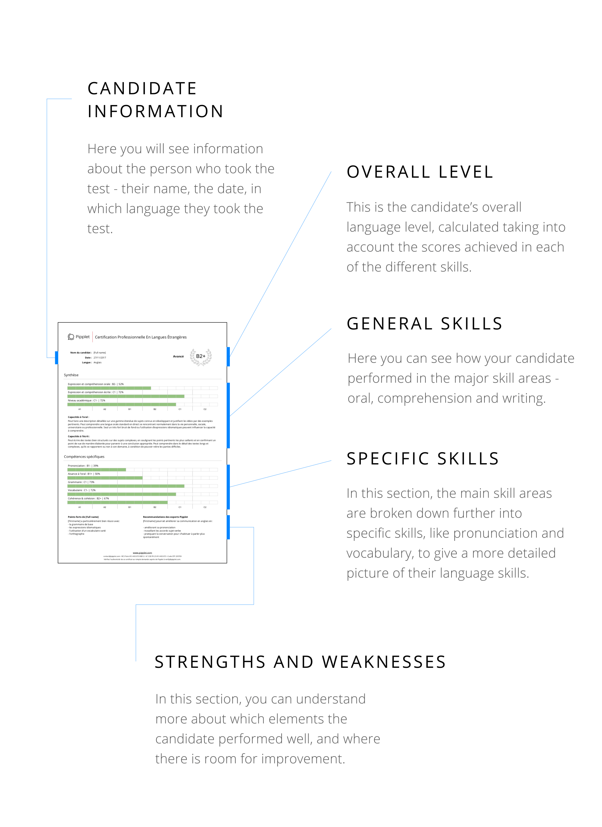 Pipplet Talent test report detail for Professional Recruiters