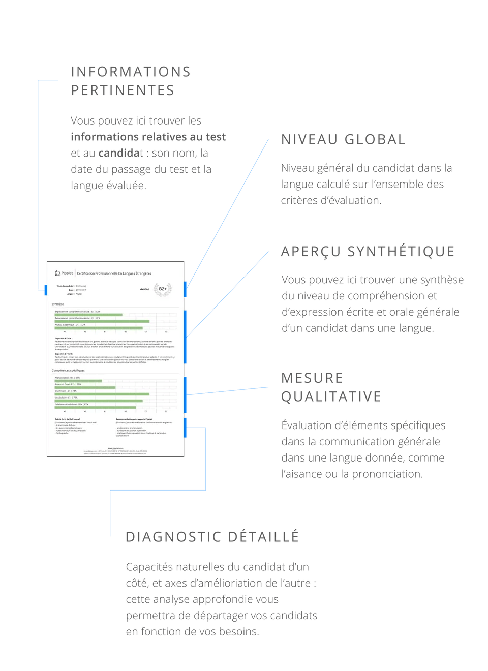 Pipplet Talent test report detail for Professional Recruiters
