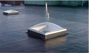 Bubble Skylights