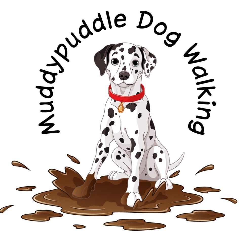 Logo Logo