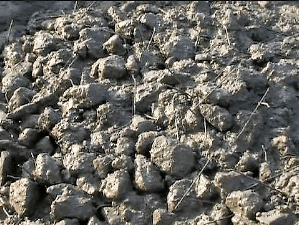 Steel reinforced concrete