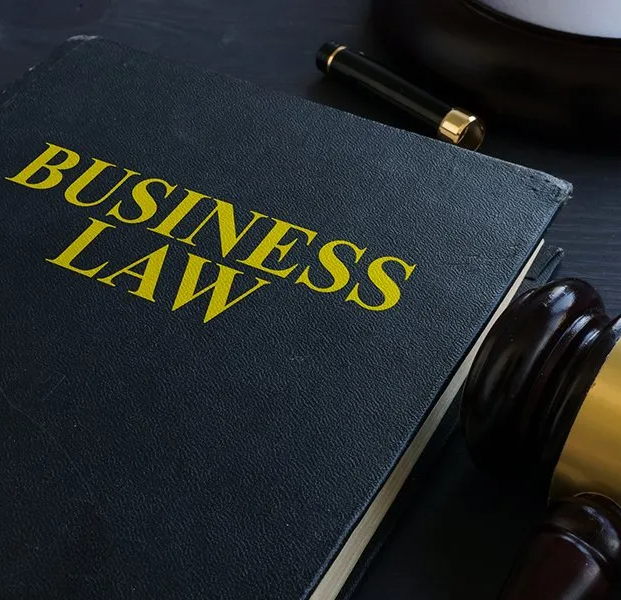 Business Law Book And Gavel — Hartland, WI — Langer & Peterson LLC Business Law Book And Gavel — Hartland, WI — Langer & Peterson LLC