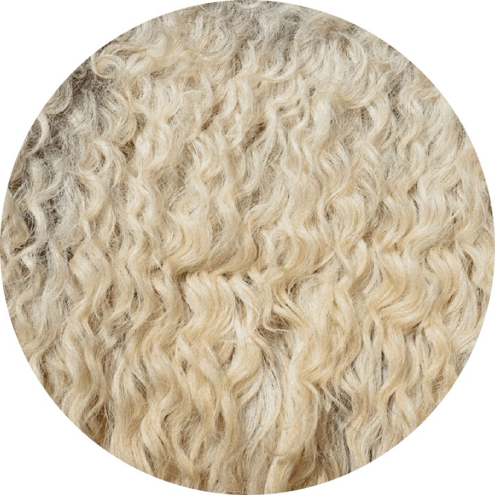 close up of loop carpet