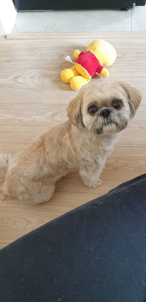Nail trimming