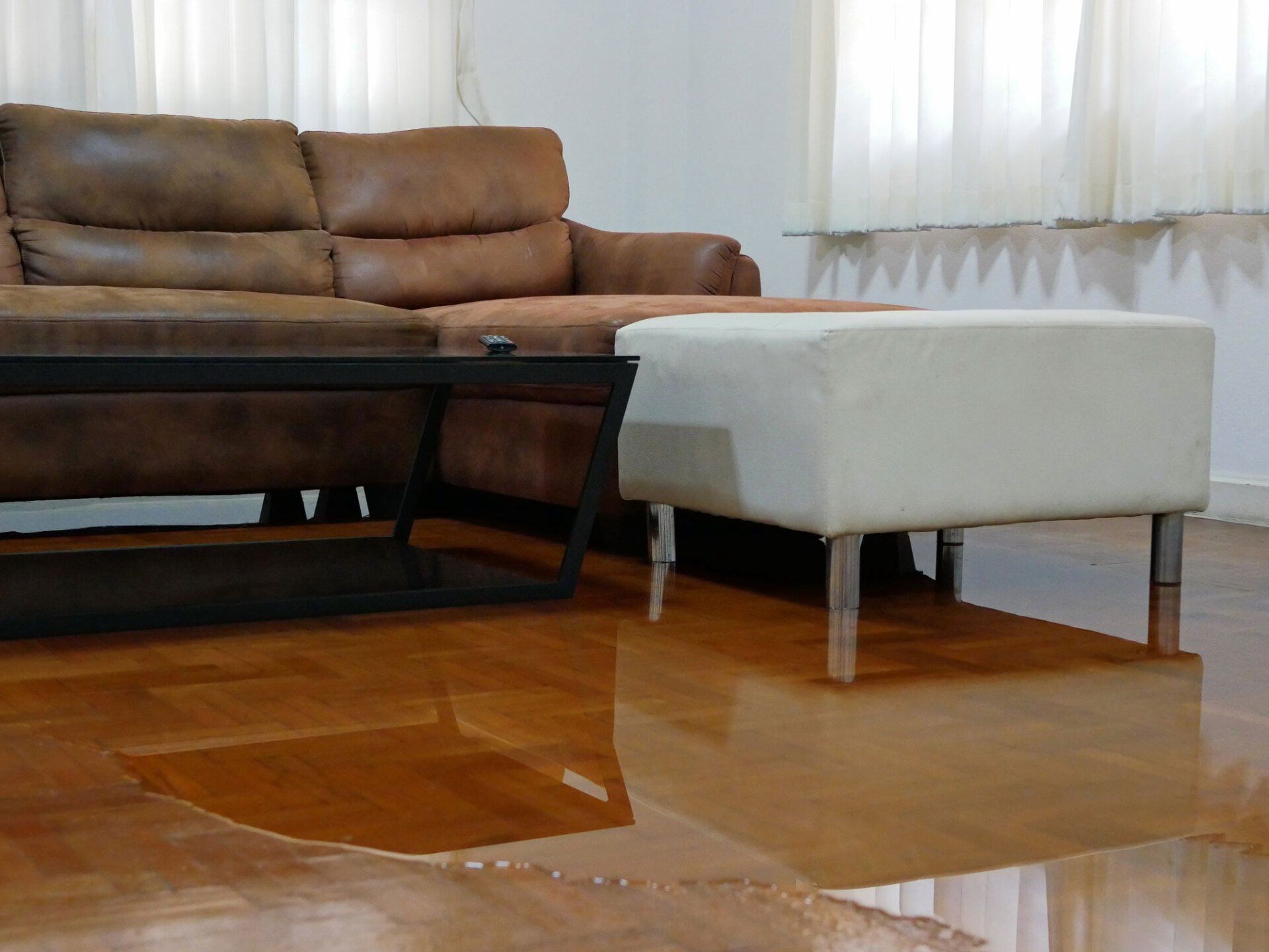 Water Damage Restoration Services Olympia WA