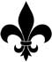 Bella Maison Carpet Cleaning & Restoration Services
