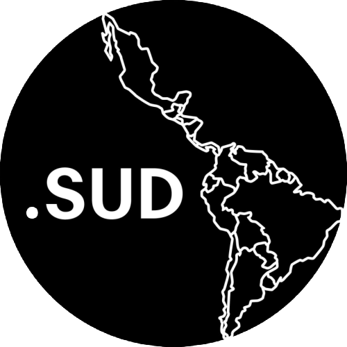 Logo Punto Sud