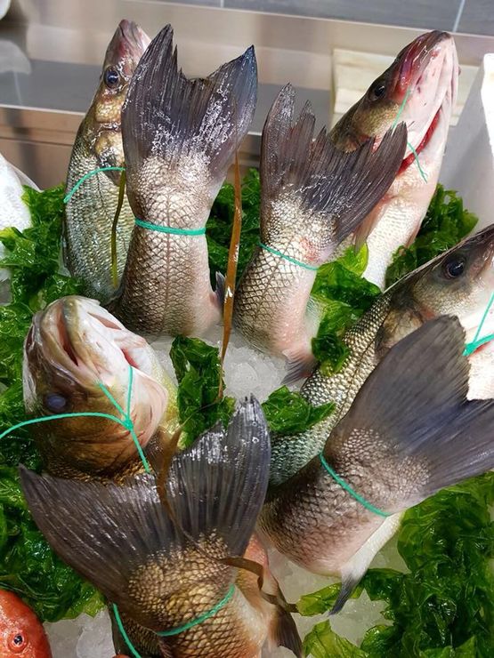 pesce fresco