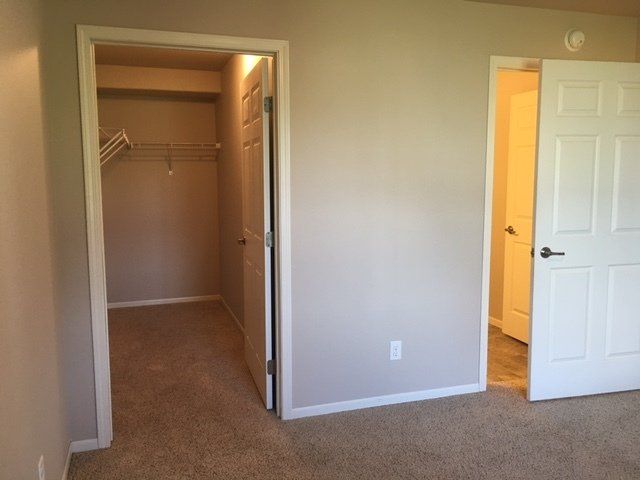 Agassiz Circle 8Plexs