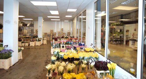 cold room for flowers