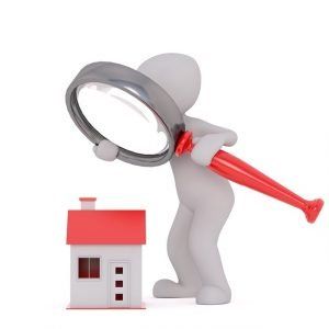 magnifying glass