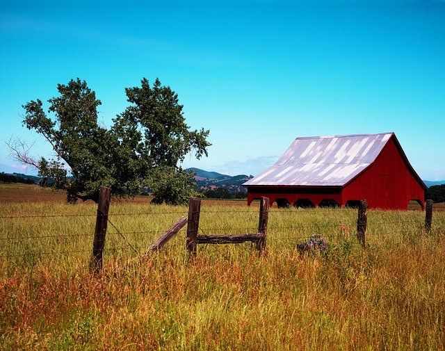 investing-in-redding