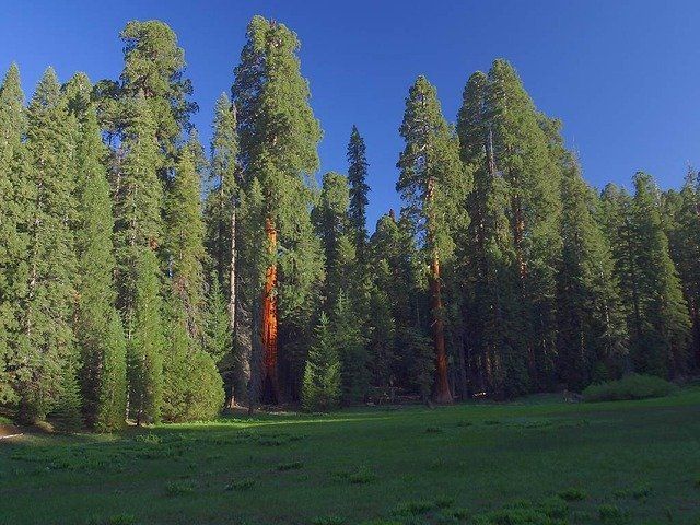 redding-california-neighborhoods