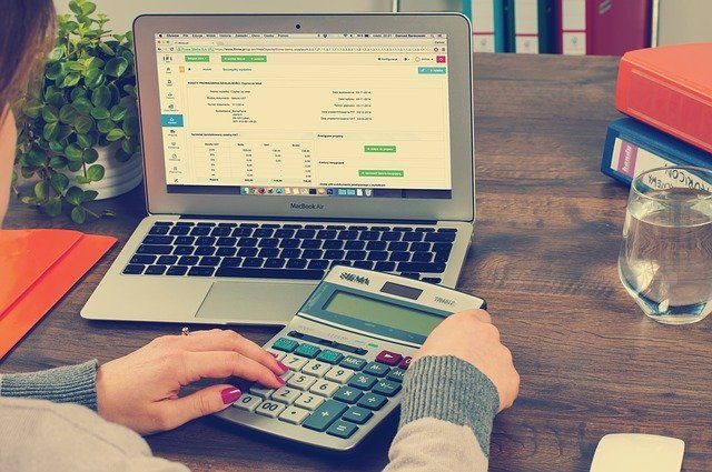 Person using calculator and laptop with spreadsheet, on desk with office supplies and plant.