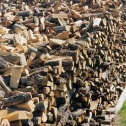 Mixed Wood - Landscaping Services in Albuquerque, NM Mixed Wood - Landscaping Services in Albuquerque, NM