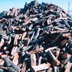Mesquite - Landscaping Services in Albuquerque, NM Mesquite - Landscaping Services in Albuquerque, NM