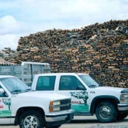 Cedar - Landscaping Services in Albuquerque, NM Cedar - Landscaping Services in Albuquerque, NM