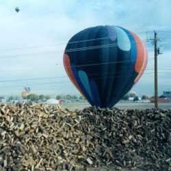 Parachute - Landscaping Services in Albuquerque, NM Parachute - Landscaping Services in Albuquerque, NM