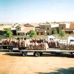 Flatbed - Landscaping Services in Albuquerque, NM Flatbed - Landscaping Services in Albuquerque, NM