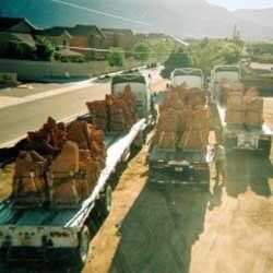 Flatbed 2 - Landscaping Services in Albuquerque, NM Flatbed 2 - Landscaping Services in Albuquerque, NM