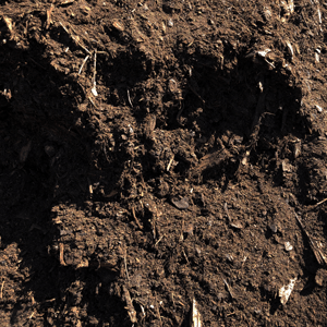 Soil Builder $56.00 per Yard