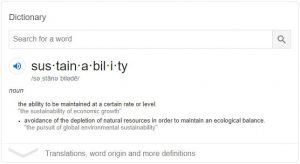 A screenshot of a google search for the word sustainability.